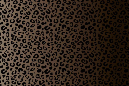 Baumwoll Jersey LEO GRADIENT