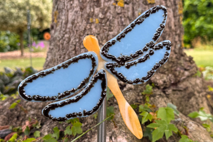 Libelle Blau/Braun