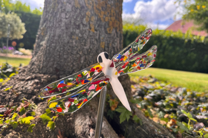 Libelle Bunt