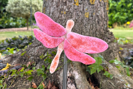 Libelle Rosa
