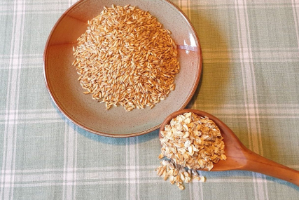 Körner vom Nackhafer, Sorte Patrik, zum Quetschen für Müsli-Ganzkornflocken