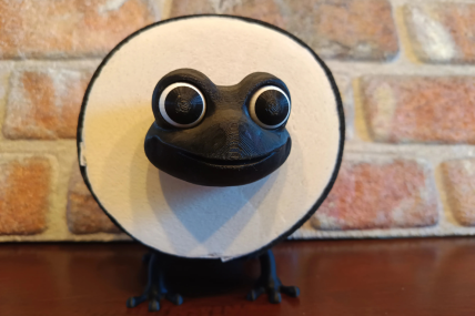 Frosch Toilettenpapier Banderole aus Filz perfektes kleines Geschenk mit Humor! Geburtstag
