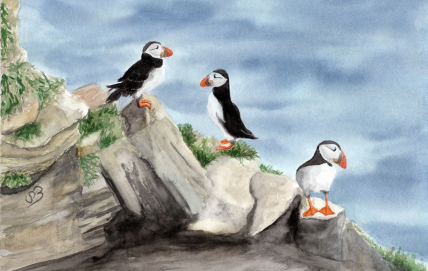 Aquarell Brettchen Frühstücksbrettchen Papageientaucher Puffin Norwegen Island 