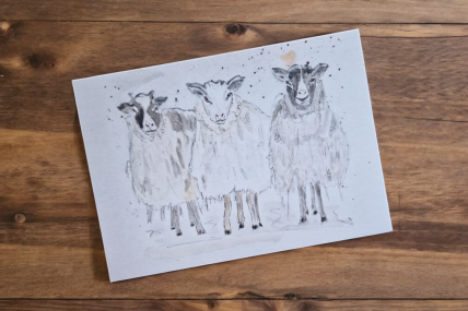 Postkarte mit Motiv -Schafe-