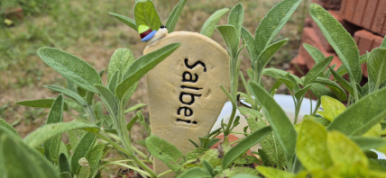 Beetgeflüster Salbei