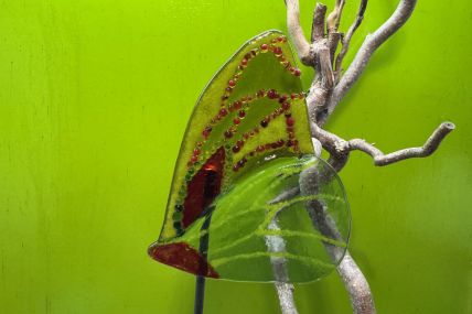 Schmetterling Grün/Rot