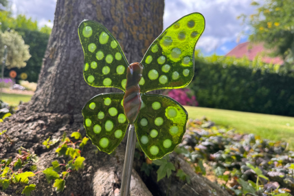 Schmetterling Grün/ Weiß