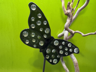 Schmetterling Schwarz/Schimmer