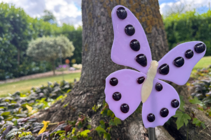 Schmetterling Lila