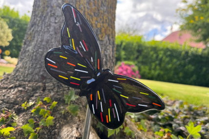 Schmetterling Schwarz/Bunt