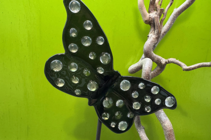 Schmetterling Schwarz/Schimmer