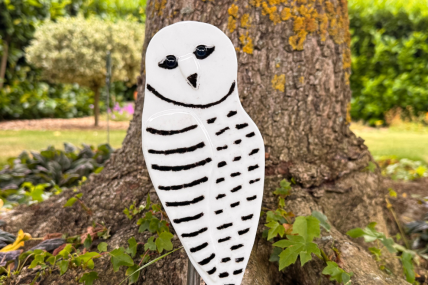 Schneeeule 2