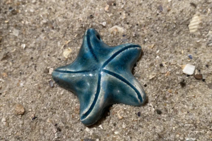 Seestern-türkis glänzend