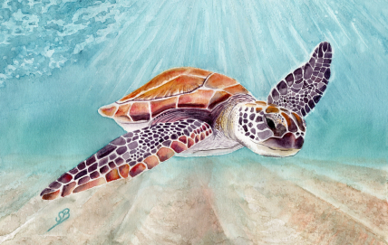 Aquarell Brettchen Frühstücksbrettchen Wasserschildkröte Schildkröte Wasser