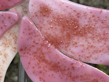 Libelle Rosa