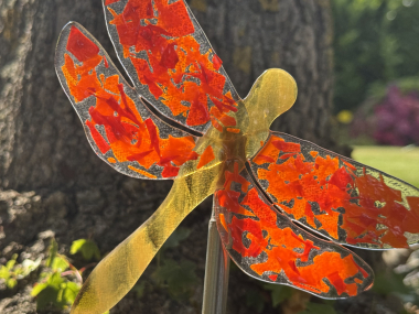 Libelle Orange
