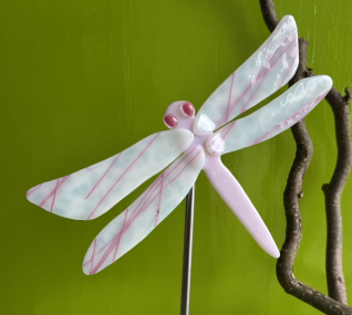 Libelle Rosa