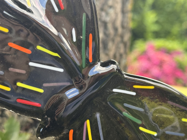Schmetterling Schwarz/Bunt
