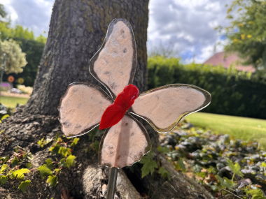 Schmetterling Rosa/Rot