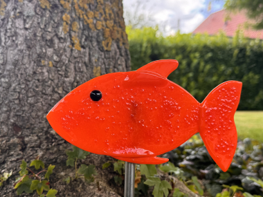 Fisch rot