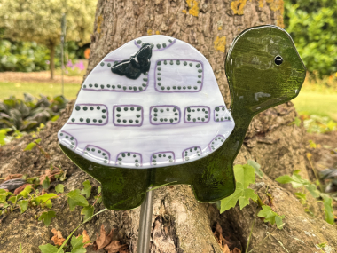 Schildkröte Land Grün Lila