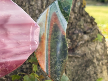 Fisch rosa