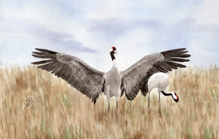 Aquarell Brettchen Frühstücksbrettchen Kranich Ostsee WA8