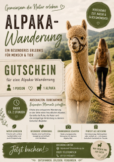 Alpaka-Wanderung Angebot 1 (1 Alpaka / 1 Person)