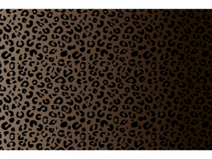 Baumwoll Jersey LEO GRADIENT