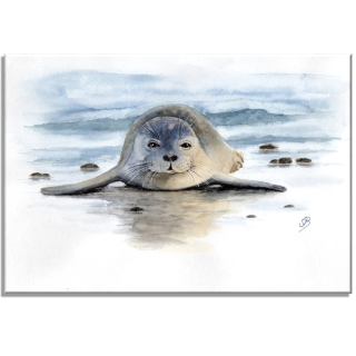 Aquarell Bild Keilrahmen Leinwand 30x20 cm Seehund Robbe Strand DK11
