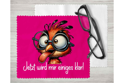 Brillenputztuch - Objektivtuch Jetzt wird mir einiges Klar! Küken