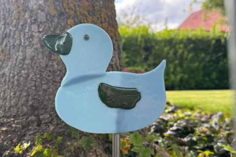 Ente Grün/Blau