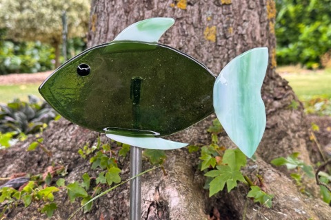 Fisch Grün