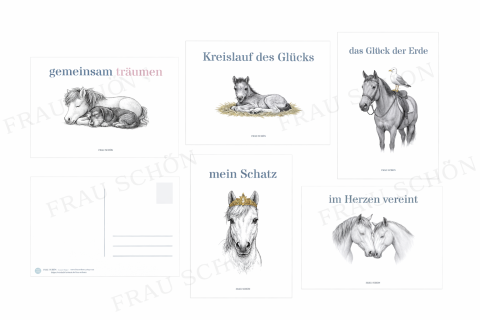 Frau Schön Kartenbundle Pferd