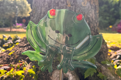 Frosch rot