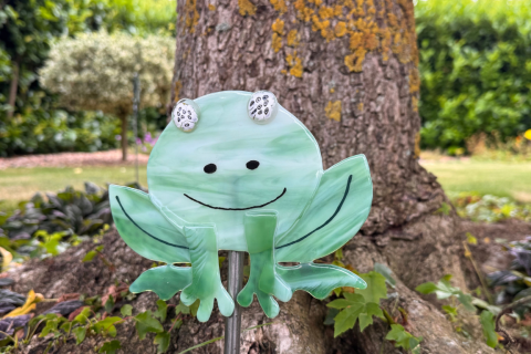 Frosch Weiß