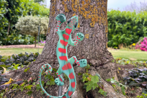 Geko Grün