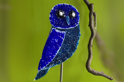 Eule blau