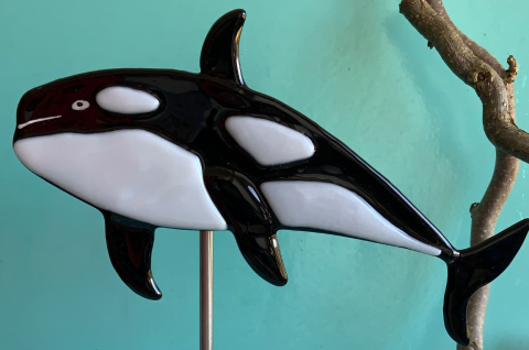 Orca