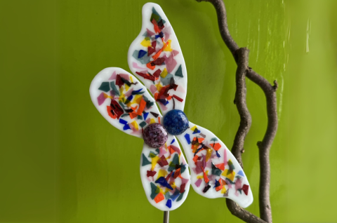 Schmetterling Bunt