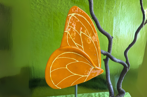 Schmetterling Gelb