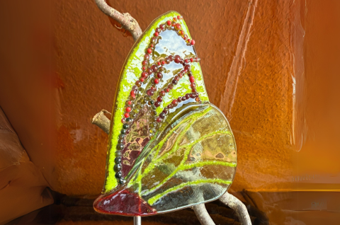 Schmetterling Grün/rot