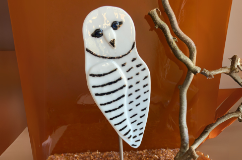 Schneeeule