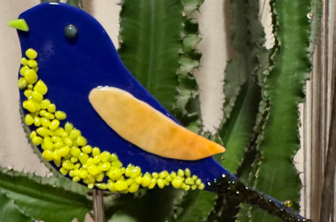 Vogel Blau