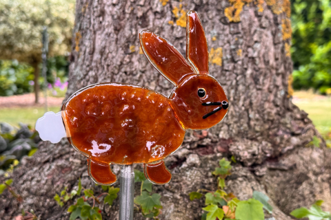 Hase dunkel