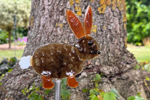 Hase dunkel 2