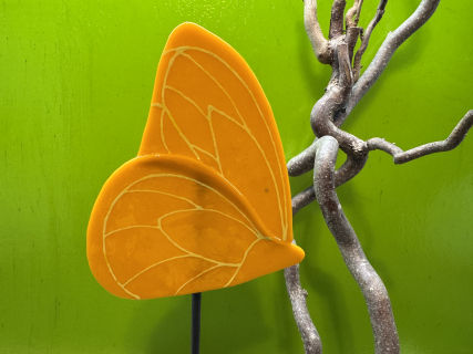 Schmetterling Orange