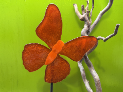 Schmetterling Orang/ Rot