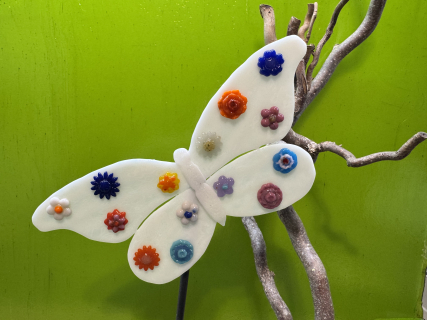 Schmetterling Weiß/Bunt