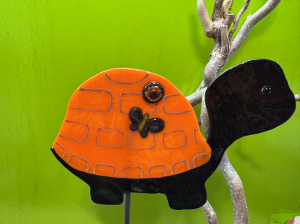 Schildkröte Land Orange